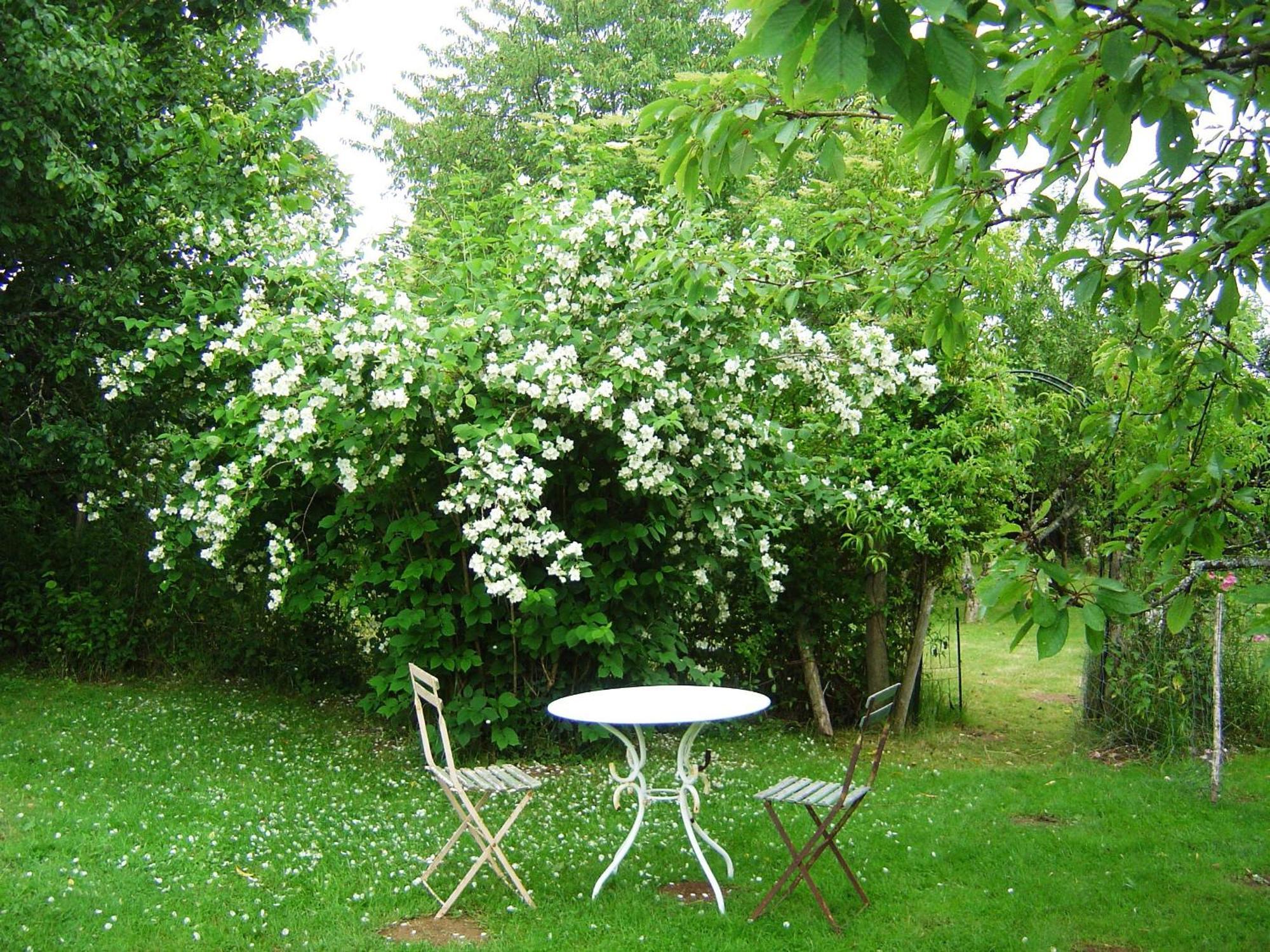 Les Trois Chenes Bed and Breakfast Videix Buitenkant foto