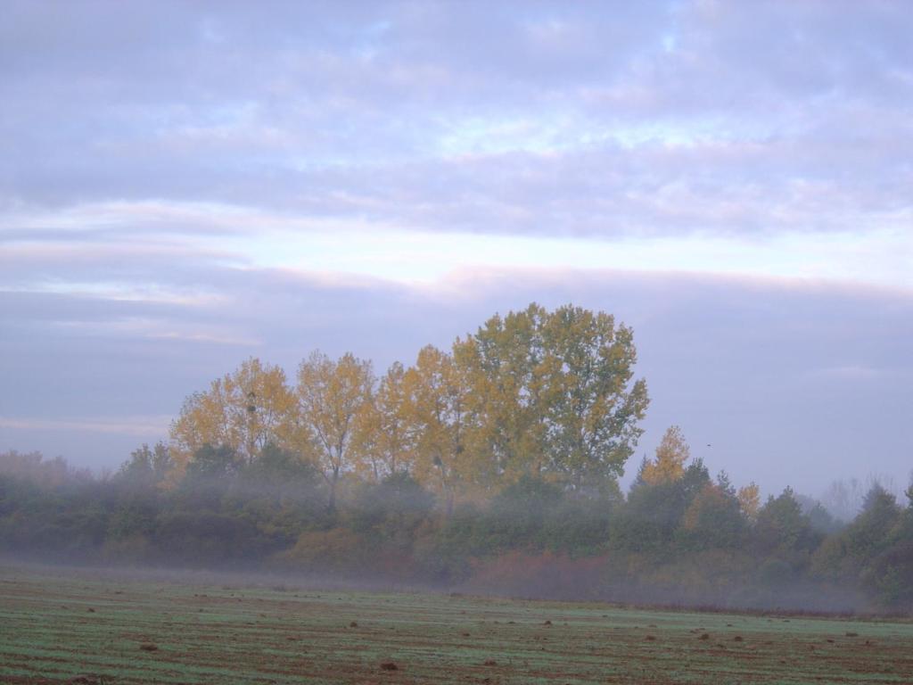 Les Trois Chenes Bed and Breakfast Videix Kamer foto